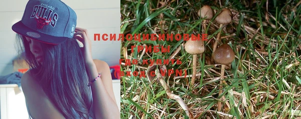 амф Алексеевка