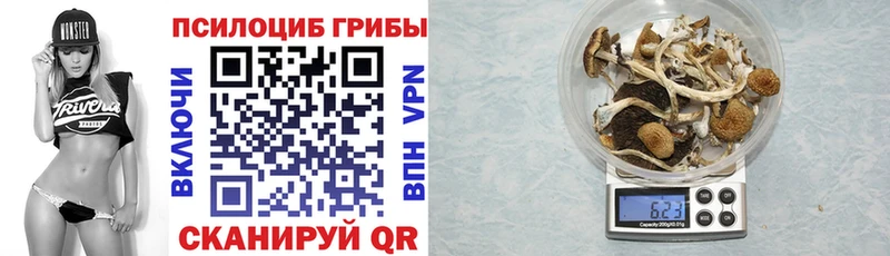 Галлюциногенные грибы Magic Shrooms даркнет какой сайт Александровское